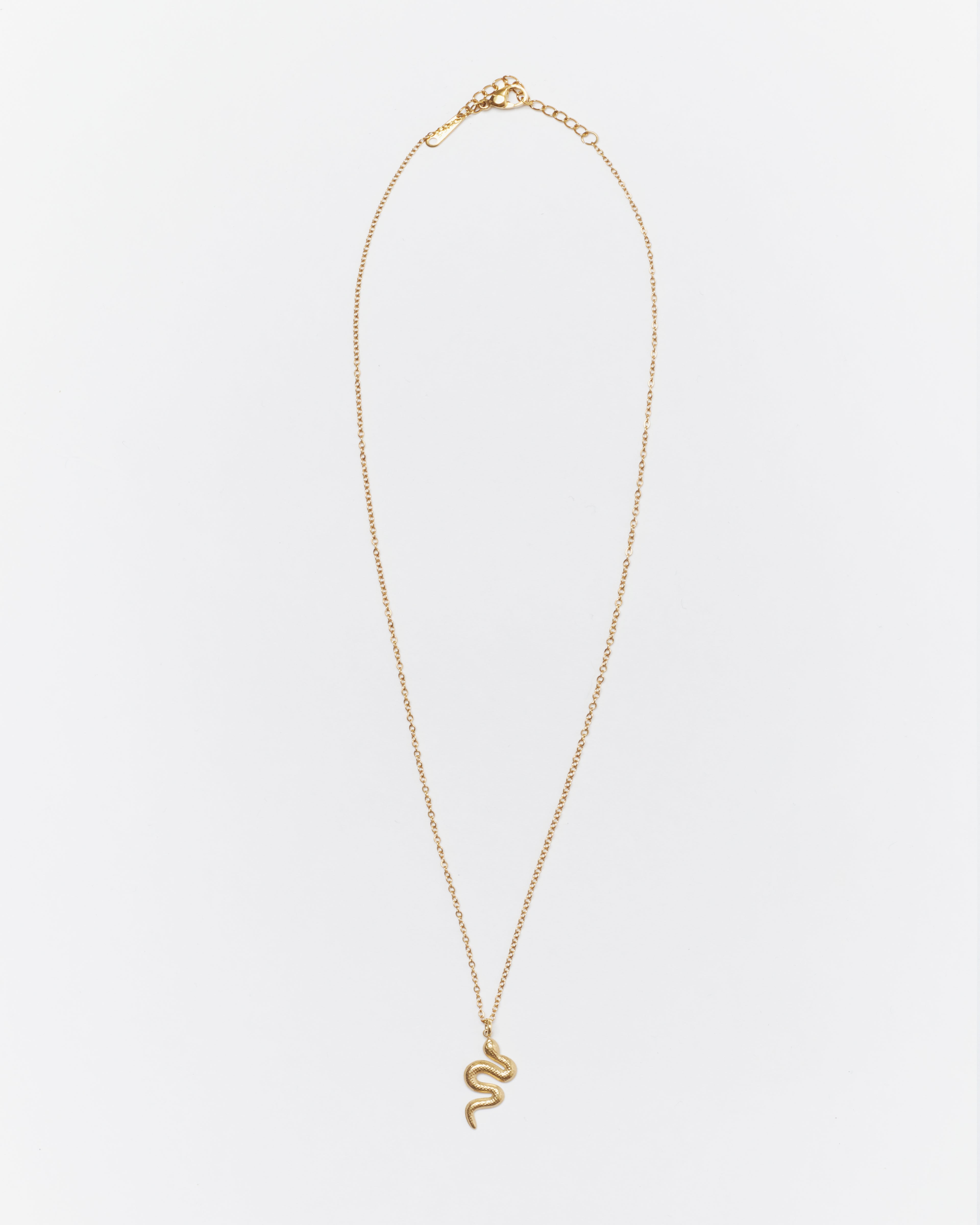 Snake Pendant Necklace - Gold